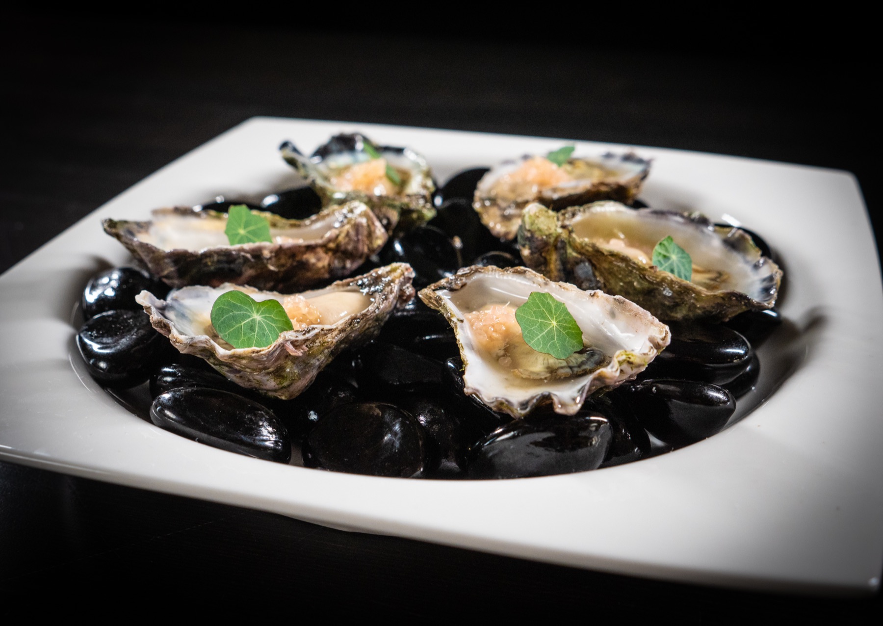 Freshly shucked oysters with citrus granita, canapé catering for a Sydney baby shower