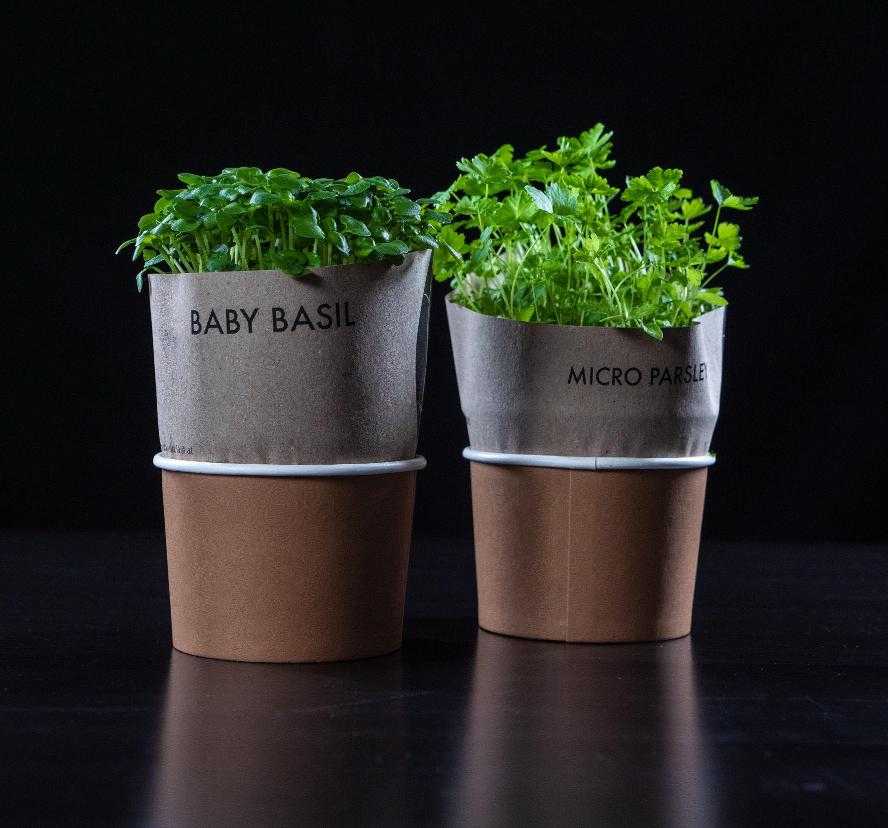 Fresh micro basil and parsley grown for Michelone's bridal shower menus in Sydney