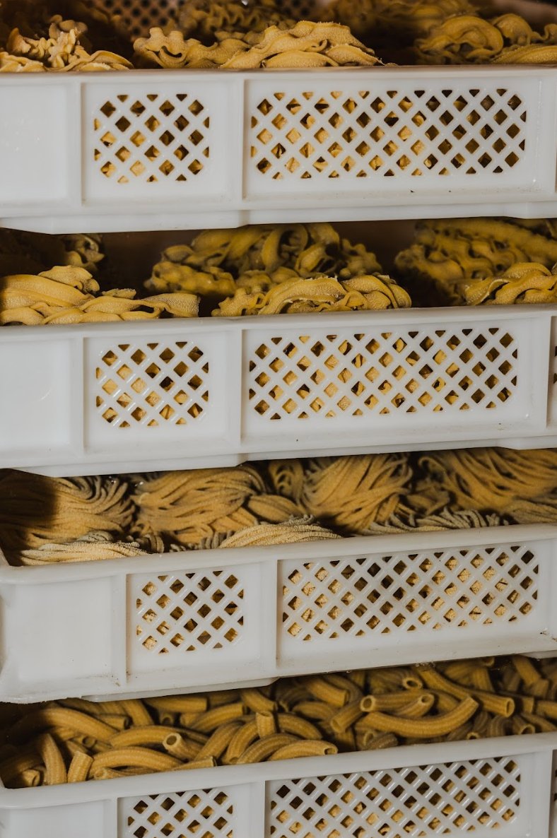 Pasta trays — large event catering Sydney